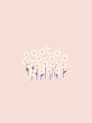 Aesthetic Daisies Cute Tablet Wallpaper
