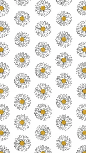 Aesthetic Daisy Pattern Drawing Wallpaper