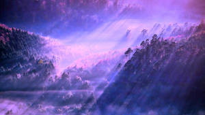 Aesthetic Desktop Foggy Forest Wallpaper