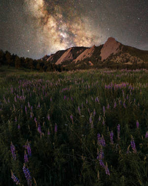Aesthetic Galaxy With Mountain Fields Wallpaper