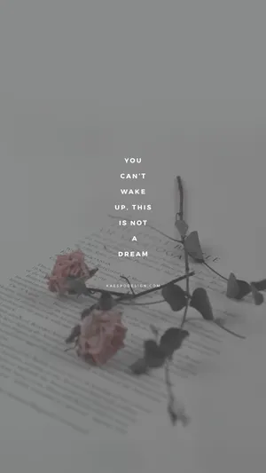 Aesthetic Gray Rose On Paper Wallpaper