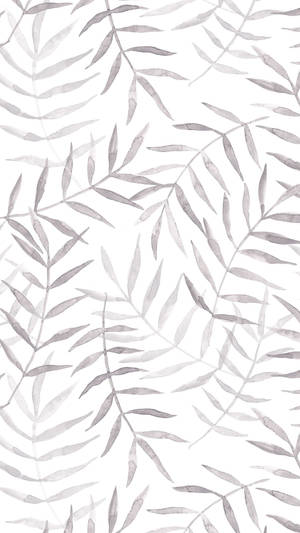 Aesthetic Gray Stem With Thin Leaves Wallpaper