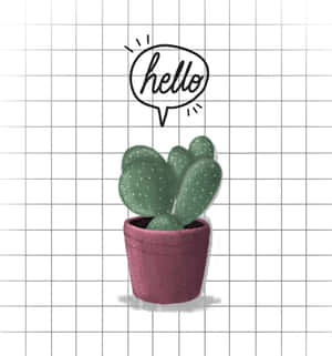 Aesthetic Hello Cactus Wallpaper