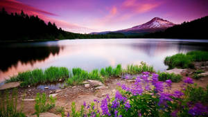 Aesthetic Landscape Purple Lake Wallpaper