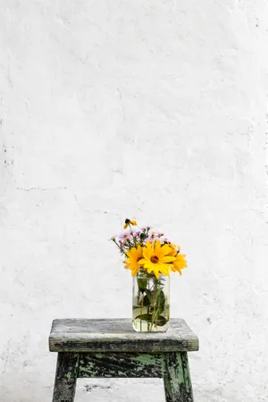 Aesthetic Minimalist Sunflower Wallpaper
