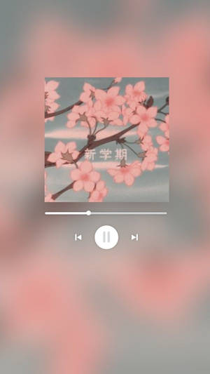 Aesthetic Music Player And Cherry Blossoms Wallpaper