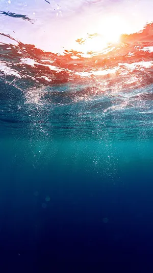 Aesthetic Ocean Underwater Wallpaper