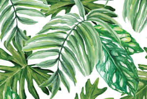 Aesthetic Palm Leaves Watercolor Art Wallpaper