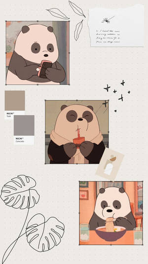 Aesthetic Panda Bear Eating Wallpaper