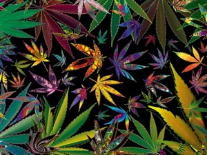 Aesthetic Psychedelic Weed Wallpaper