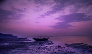 Aesthetic Purple Beach Skies Wallpaper