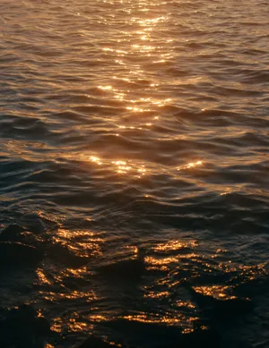 Aesthetic Sea Wallpaper