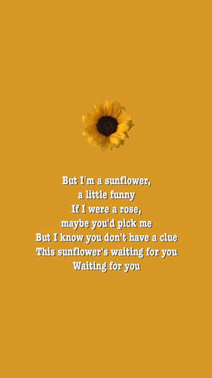 Aesthetic Sunflower Quotes Wallpaper