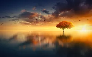 Aesthetic Sunset With Yellow Autumn Tree Wallpaper