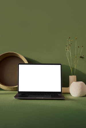 Aesthetic Tumblr Laptop Olive Green Wallpaper