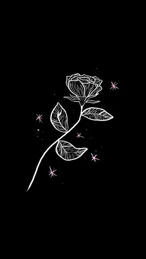 Aesthetic White And Black Iphone With White Rose Wallpaper