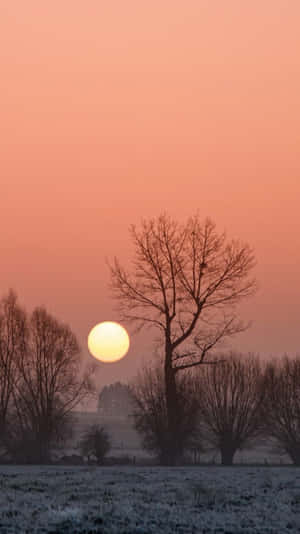 African Beautiful Scenery Sunrise Iphone Wallpaper