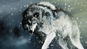 Aggressive Wolf Desktop Wallpaper