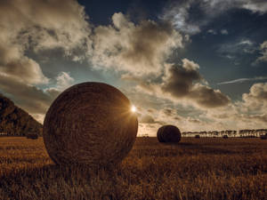 Agriculture Straw Bale Wallpaper