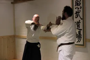 Aikido Sensei Teaching In Dojo Wallpaper