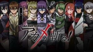 Anime Akame ga Kill! Art