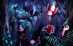 Akatsuki Sasuke And Itachi Uchiha Wallpaper