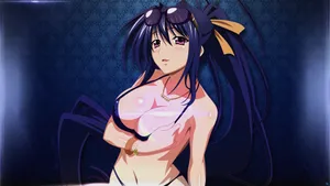 Akeno In Bikini Highschool Dxd Wallpaper