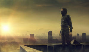 Alan Walker Photo Session Wallpaper