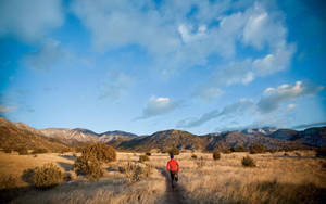 Albuquerque Desert Trail Wallpaper