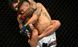 Alexandre Pantoja Arm Around Opponents Head Wallpaper