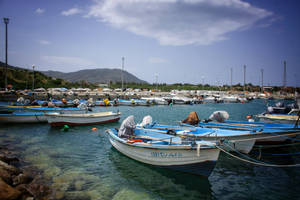Algeria Dock With Boats Wallpaper