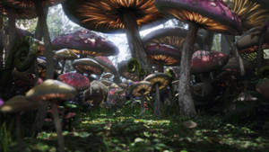 Alice In Wonderland Fungal Forest Wallpaper