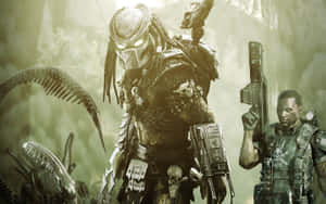 Alien Vs Predator Celtic And Max Wallpaper