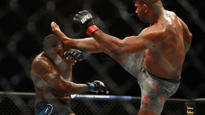 Alistair Overeem Kicking Walt Harris Wallpaper