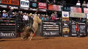 “alive With Excitement! Bull Riding At Its Best!