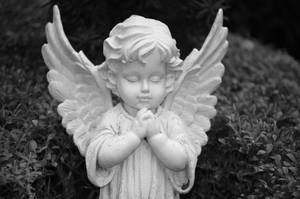 All Saints Day Young Angel Wallpaper
