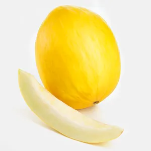 Almost Orange Canary Melon Wallpaper