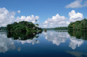 Amazonas Brazil River Wallpaper