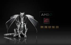 Amd Dragon Black Logo Wallpaper