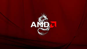 Amd Dragon Maroon Background Wallpaper