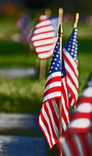 American Flags Row Patriotic Display Wallpaper