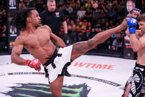 American Mma Fighter Ben Henderson Delivering Roundhouse Kick Wallpaper