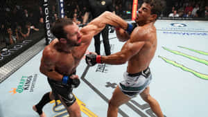 American Ufc Player Luke Rockhold With Brazilian Athlete Paulo Costa Wallpaper