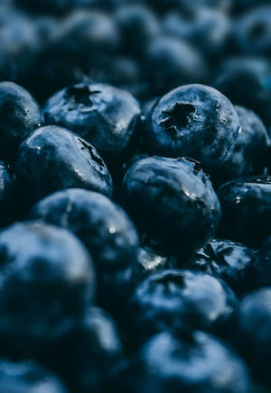 Amoled Fresh Blueberries