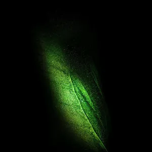 Amoled Sparkling Green Wallpaper