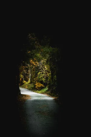 Amoled Tunnel Plants Wallpaper