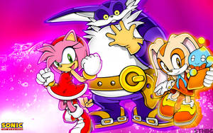 Amy Rose Sonic Hero Friends Wallpaper