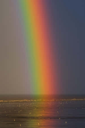 An Adorable Rainbow Under The Sun With Pastel Clouds In The Sky Wallpaper