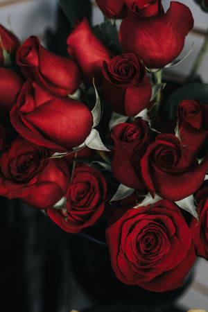 An Elegant Bouquet Of Red Roses Wallpaper