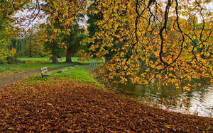 An Enchanting Autumnal Pond Surrounded By Hued Trees Wallpaper